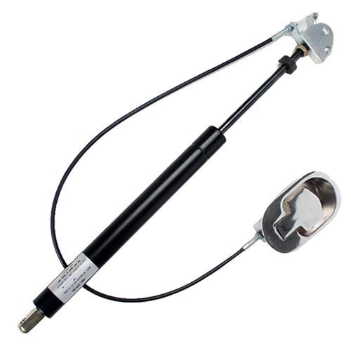 Lockable Gas Strut