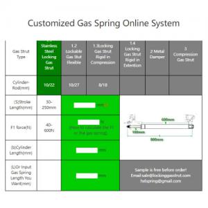 Custom Gas Spring Online System